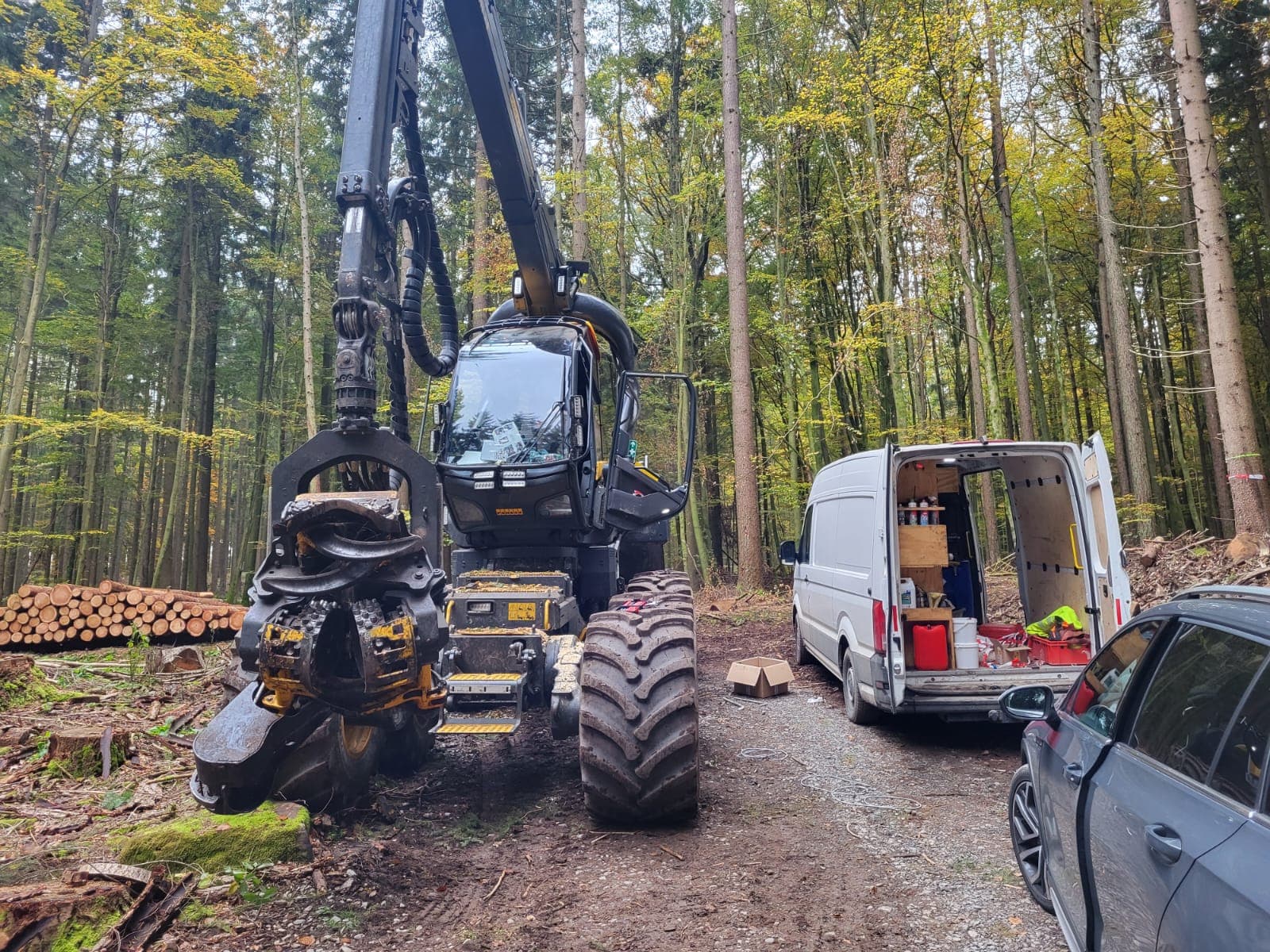 Service & Installation